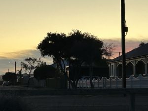 A shrub resembling a monster symbolizing self-doubt.