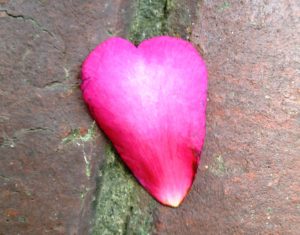 The Art of Contemplative Prayer