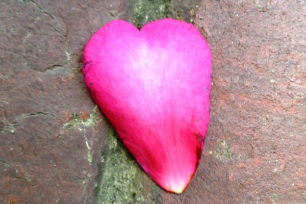 The Art of Contemplative Prayer