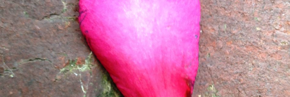 The Art of Contemplative Prayer