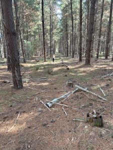 The Interwoven Nature of God’s Presence