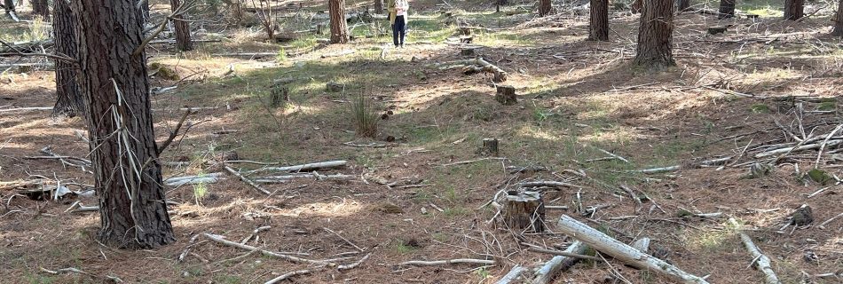 The Interwoven Nature of God’s Presence