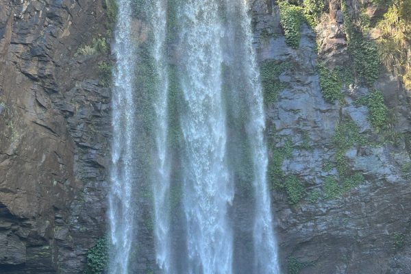 Seeing God in All Things