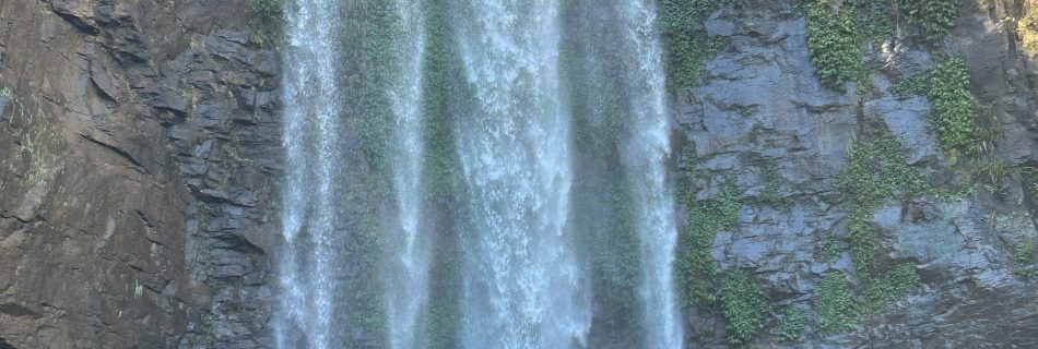 Seeing God in All Things