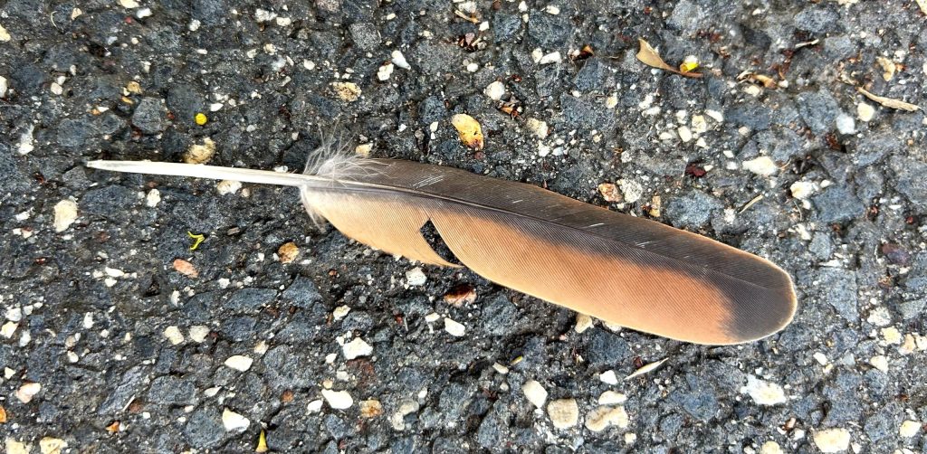 Finding perfection within the imperfection