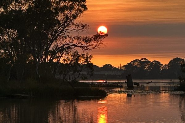 Connecting to Pure Consciousness: The Power of Stillness