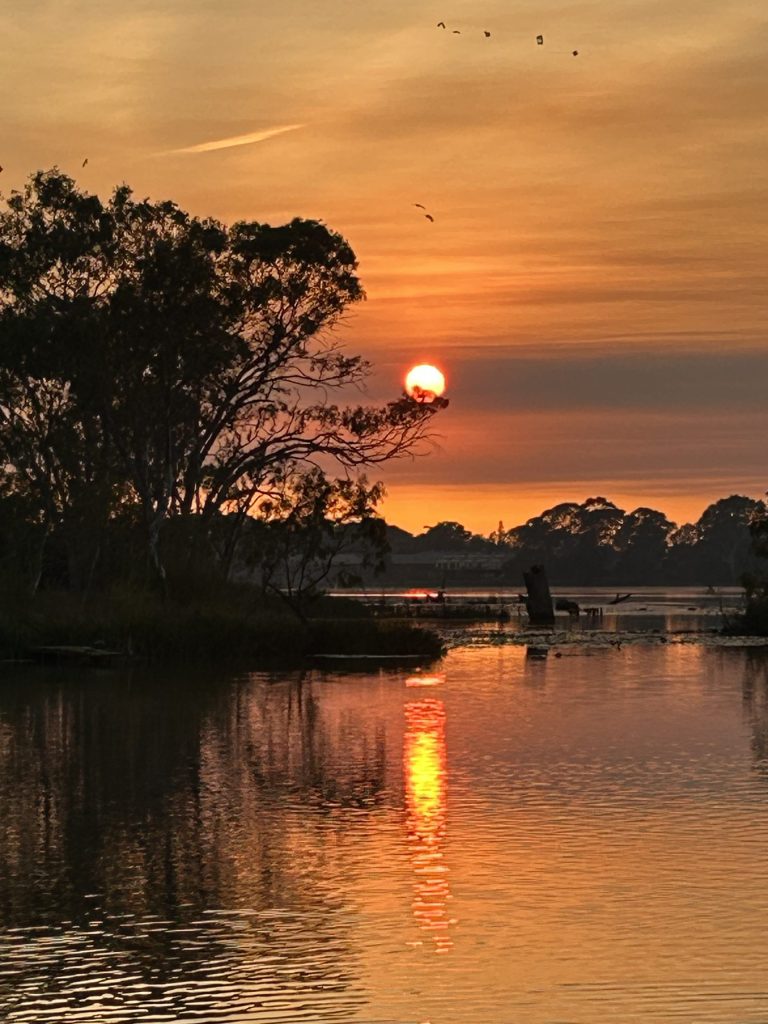 Connecting to Pure Consciousness: The Power of Stillness