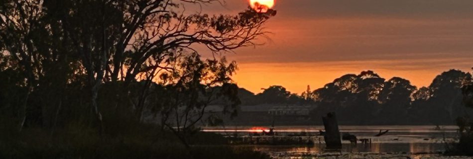 Connecting to Pure Consciousness: The Power of Stillness