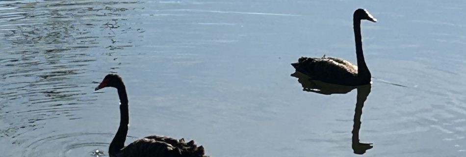 The unfolding of one’s unique God given journey