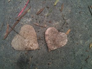 Two hearts beating as one - Loving the unlovable