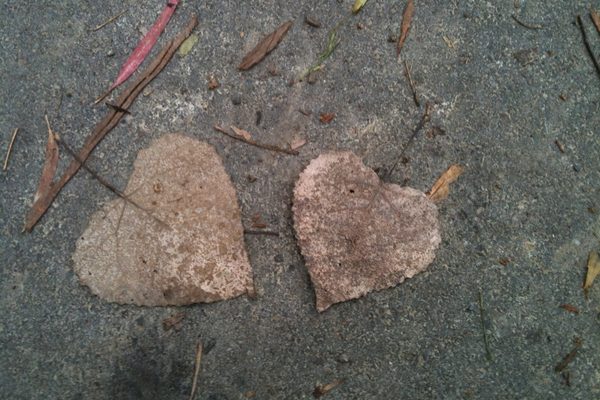 Two hearts beating as one - Loving the unlovable